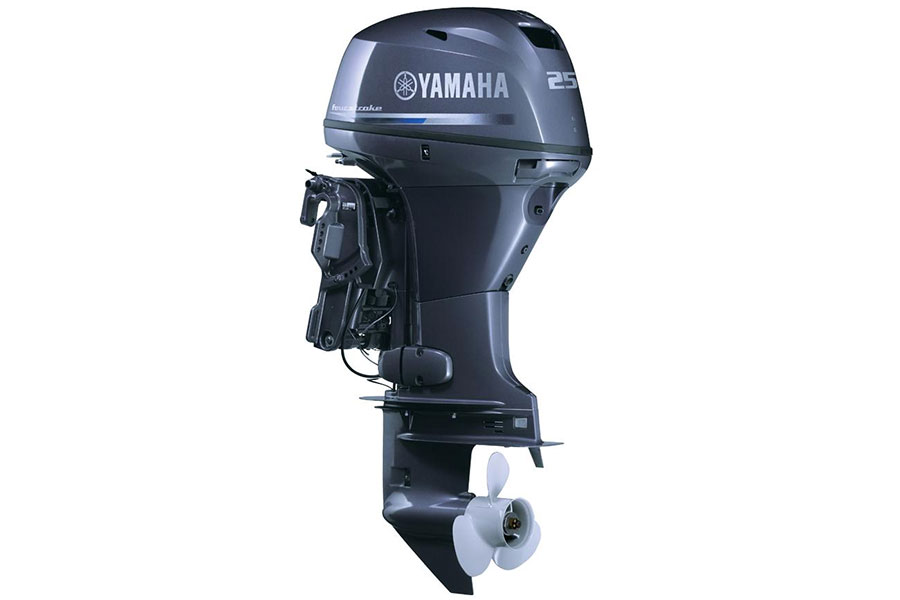 Yamaha FT25